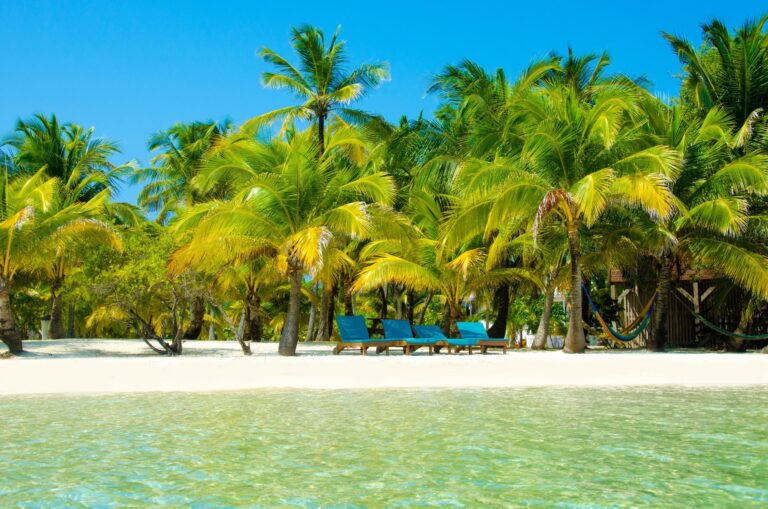 view of a beach in placencia as seen from the water. beach is lined with palm trees. views like this are free when backpacking belize on a budget